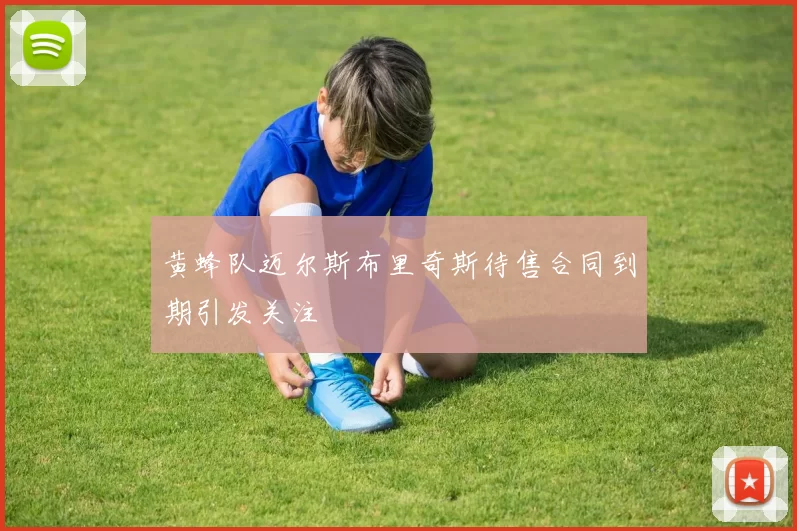 黄蜂队迈尔斯布里奇斯待售合同到期引发关注