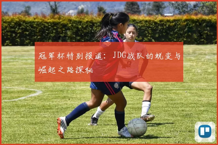 冠军杯特别报道：JDG战队的蜕变与崛起之路探秘