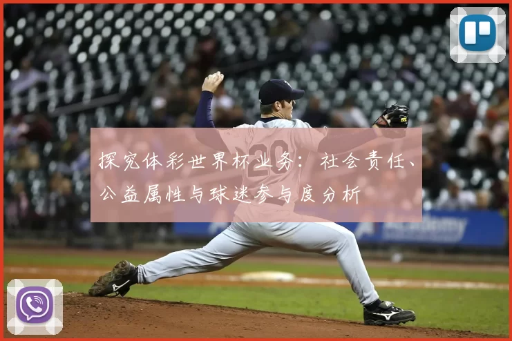探究体彩世界杯业务:社会责任、公益属性与球迷参与度分析