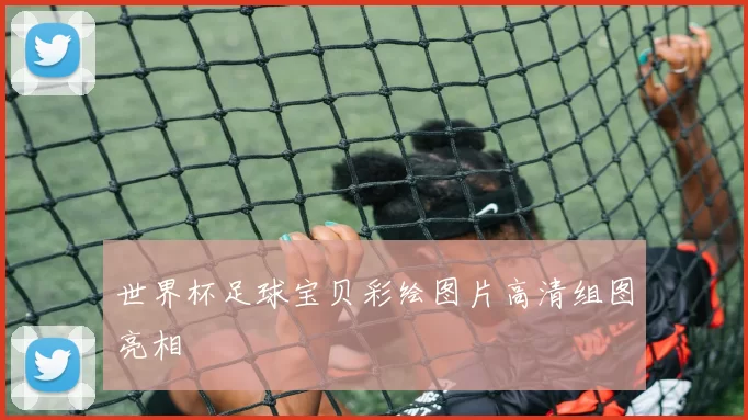 世界杯足球宝贝彩绘图片高清组图亮相
