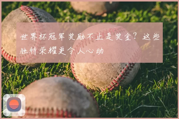 世界杯冠军奖励不止是奖金?这些独特荣耀更令人心动