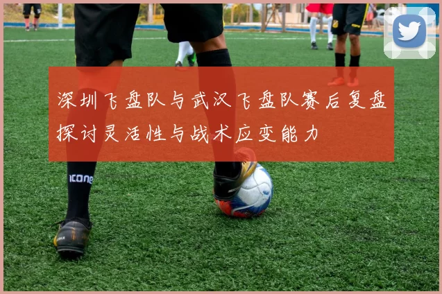 深圳飞盘队与武汉飞盘队赛后复盘探讨灵活性与战术应变能力