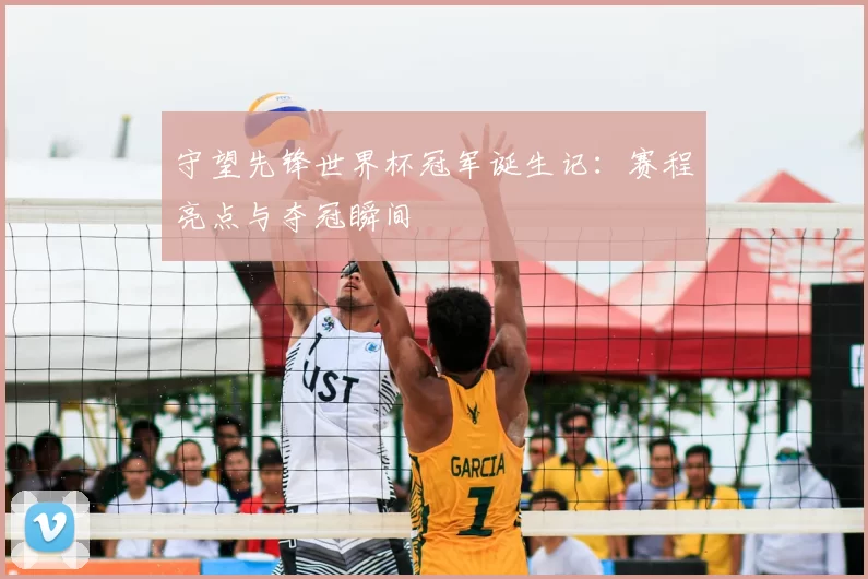守望先锋世界杯冠军诞生记:赛程亮点与夺冠瞬间