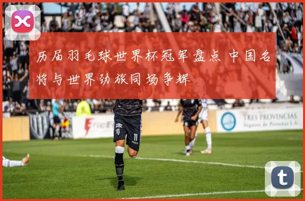 历届羽毛球世界杯冠军盘点 中国名将与世界劲旅同场争辉