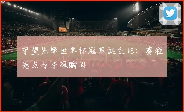 守望先锋世界杯冠军诞生记：赛程亮点与夺冠瞬间