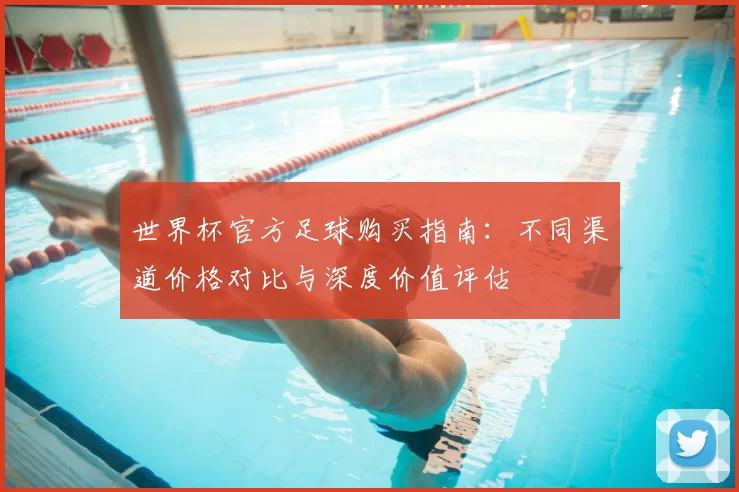 世界杯官方足球购买指南:不同渠道价格对比与深度价值评估