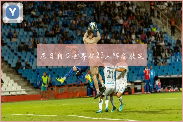 尼日利亚世界杯23人阵容敲定