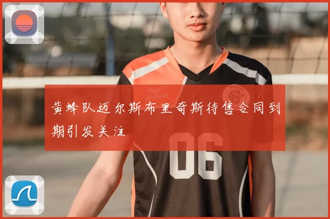 黄蜂队迈尔斯布里奇斯待售合同到期引发关注