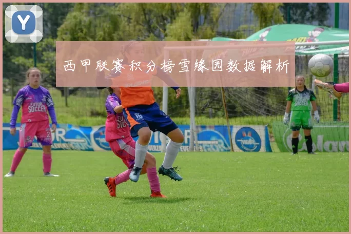 西甲联赛积分榜雪缘园数据解析
