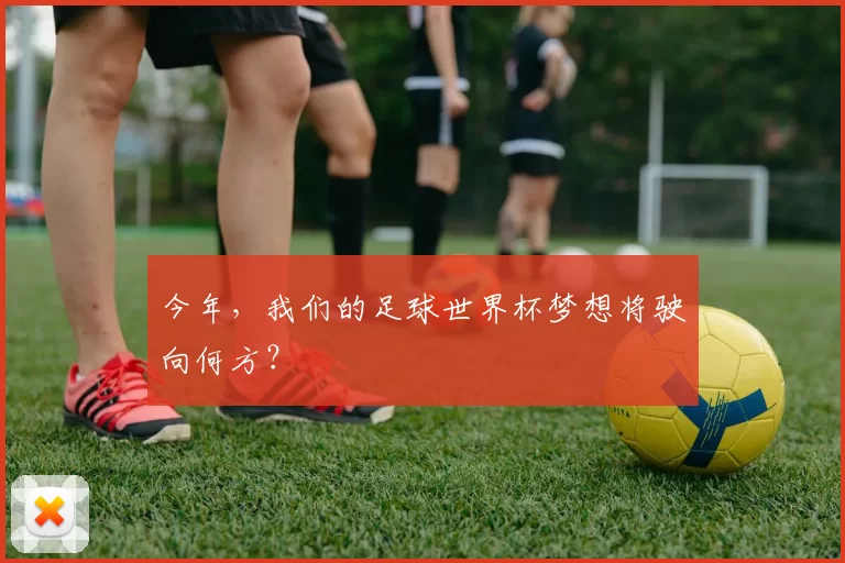 今年，我们的足球世界杯梦想将驶向何方？