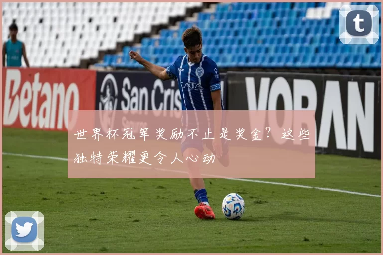 世界杯冠军奖励不止是奖金？这些独特荣耀更令人心动