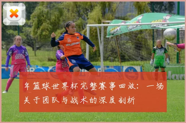 年篮球世界杯完整赛事回放:一场关于团队与战术的深度剖析