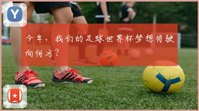 今年,我们的足球世界杯梦想将驶向何方?