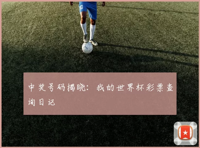 中奖号码揭晓：我的世界杯彩票查询日记