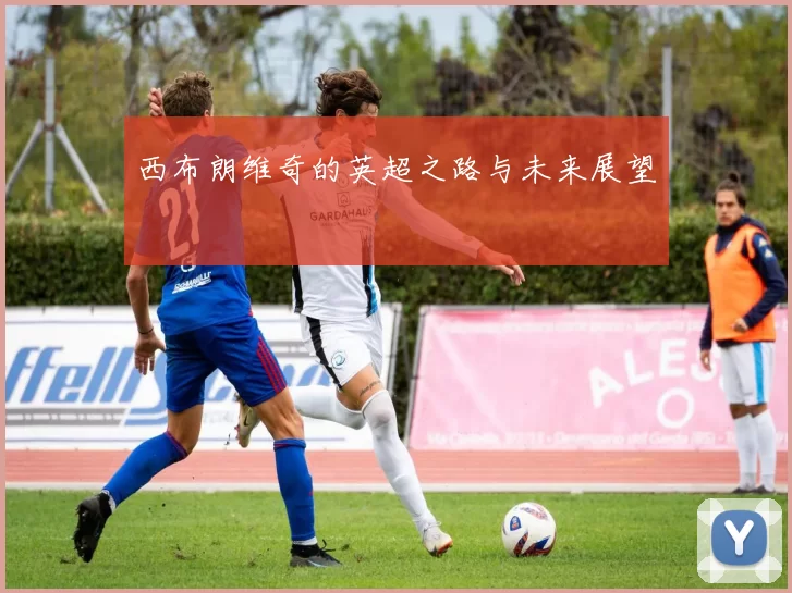 西布朗维奇的英超之路与未来展望