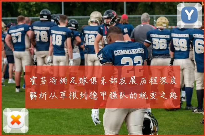 霍芬海姆足球俱乐部发展历程深度解析从草根到德甲强队的蜕变之路