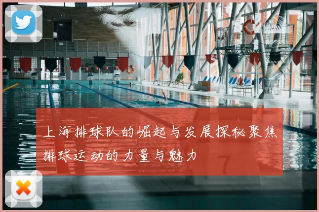 上海排球队的崛起与发展探秘聚焦排球运动的力量与魅力