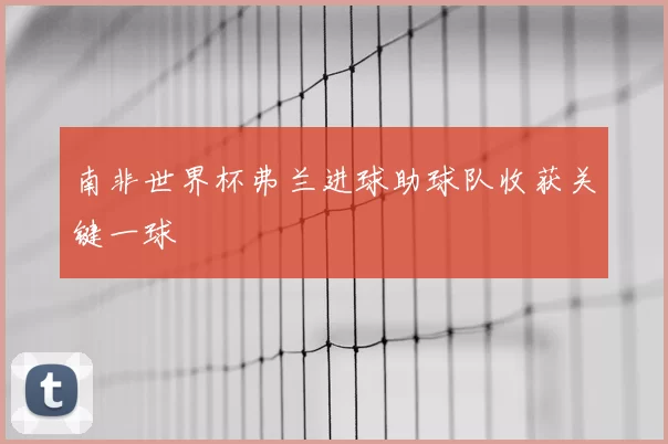 南非世界杯弗兰进球助球队收获关键一球
