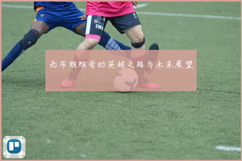 西布朗维奇的英超之路与未来展望