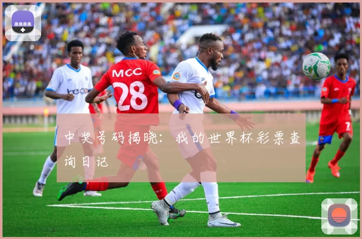 中奖号码揭晓:我的世界杯彩票查询日记