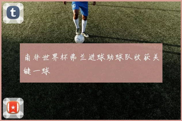 南非世界杯弗兰进球助球队收获关键一球