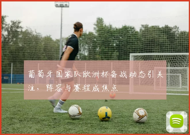 葡萄牙国家队欧洲杯备战动态引关注，阵容与赛程成焦点